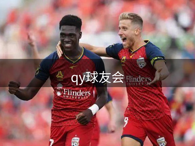 公司未来方向
