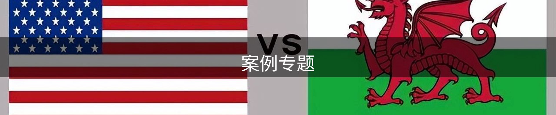 案例专题
